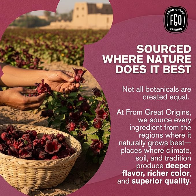 FGO Organic Hibiscus Tea, 100 Count, Eco-Conscious Tea Bags, Caffeine Free, Packaging May Vary (Pack of 1)