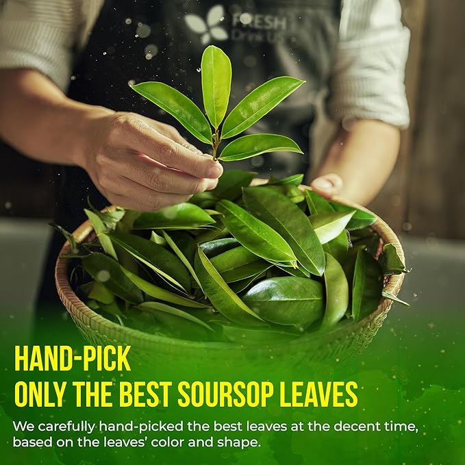 FreshDrinkUS, Premium 275+ Soursop Graviola Whole Dried Leaves Tea, 275-300 Soursop Graviola Guanabana Whole Leaves, Wildcrafted, Hoja Guanabana Loose Leaf Herbal Tea, No Gluten, Vegan