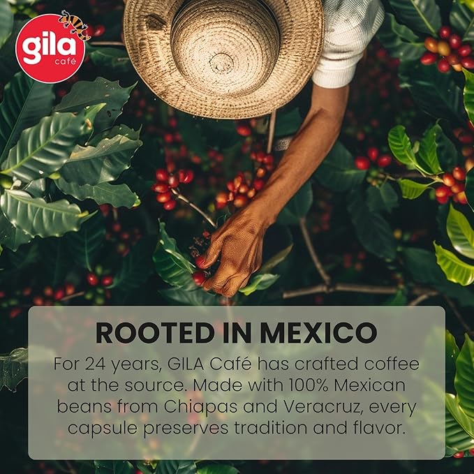 gila café Ground Coffee Medium Roast Espresso 32oz (1-Pack) - 100% Mexican Arabica Bean Coffee Grounds - Made with Coffeeberry - Chocolate, Hazelnut, Vanilla Notes