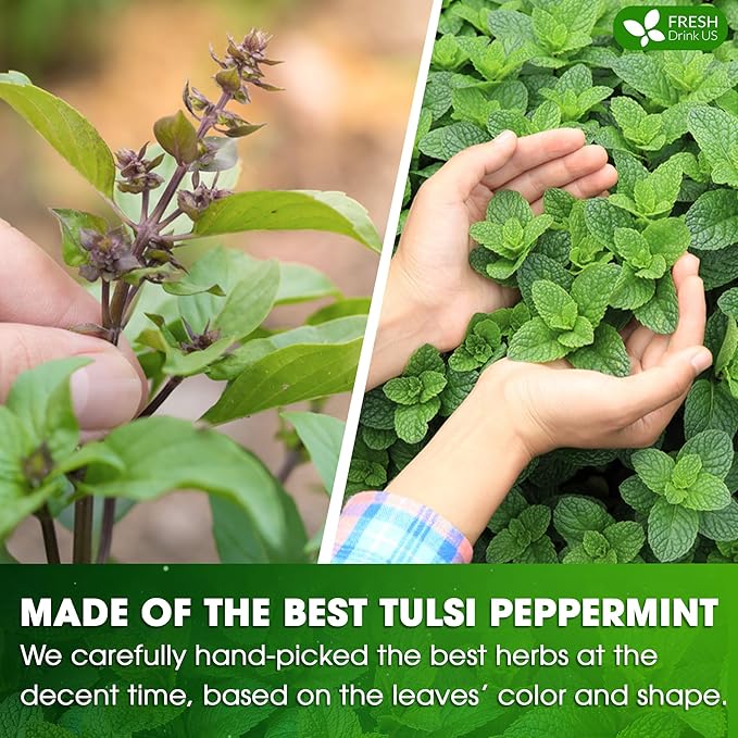 FreshDrinkUS, Premium Tulsi Peppermint Herbal Tea – 135 Tea Bags, 100% Natural, Blend of Tulsi Holy Basil Leaves, and Peppermint Leaves. Made with Natural Material Tea Bags. No Sugar, Vegan.