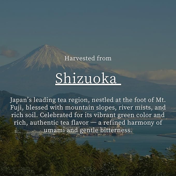 Shizune Matcha, Shizuoka Harvest Essential Grade – Authentic Japanese Matcha Green Tea Powder, 40g (1.4 oz) Tin