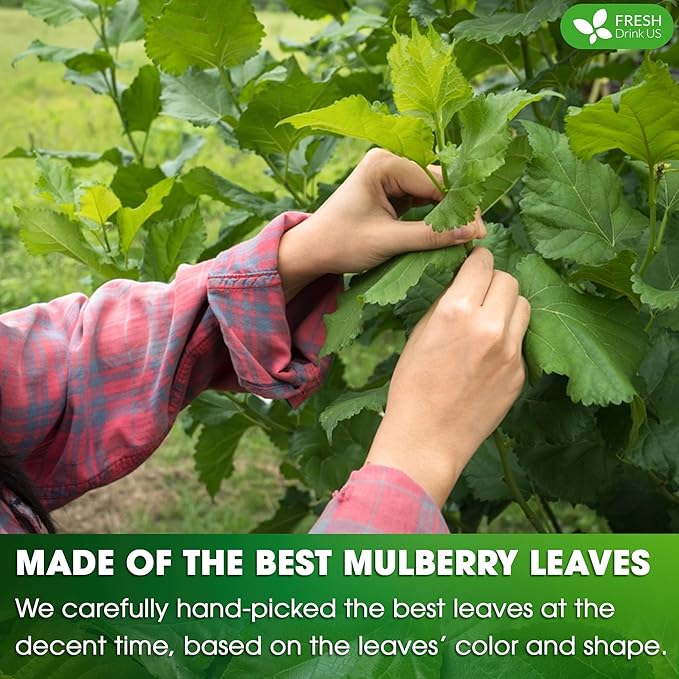 FreshDrinkUS, Permium 16oz Mulberry Leaves, 100% Natural & Pure from Mulberry Leaves, Loose Leaf Herbal Tea, No Additives, No Caffeine, Vegan