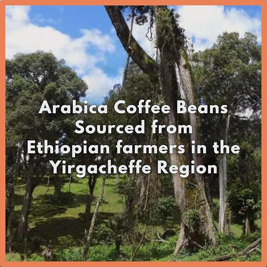 Café Grumpy Ethiopia Medium Roast Coffee Organic Single Origin French Press Drip, Medium Grind, for Pour Over, Cold Brew, 12oz Bag