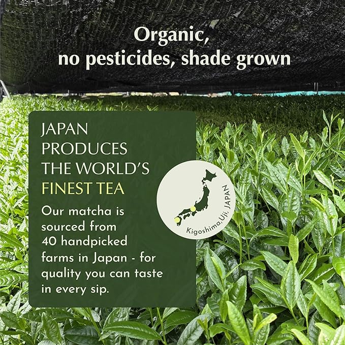 Encha Latte Grade Matcha Powder - First Harvest Organic Unsweetened Matcha Green Tea, From Uji, Japan (500g / 1lb) Premium Powder for matcha Latte, Smoothie | Caffeine, L-Theanine