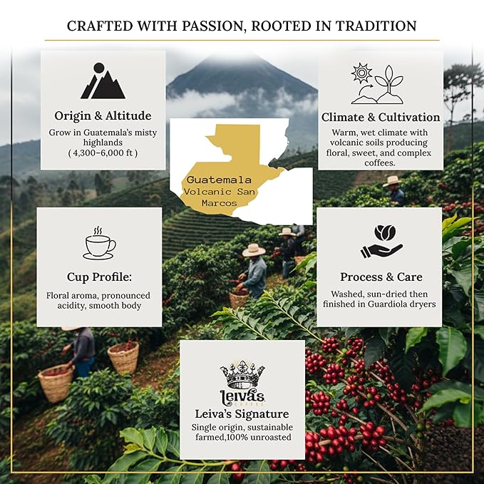 Leiva’s Unroasted Green Coffee Beans (1kg) – Volcanic San Marcos Single Origin Coffee w/Floral Notes – Washed, Shade Grown Organic Guatemala Beans – Lively Acidity, Whole Bean Unroasted Blend