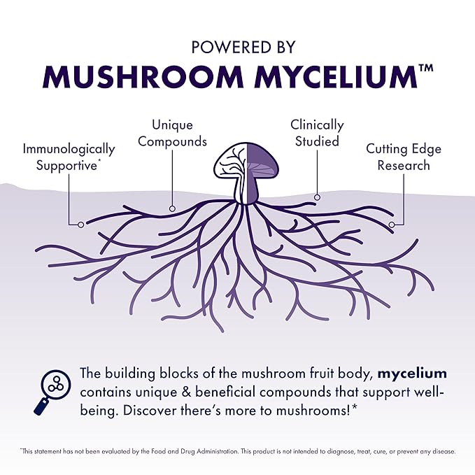 Host Defense MycoBrew Mocha - Mocha Drink Mix - Includes Lion's Mane Mushroom - Drink Mix with Fair Trade Certified Cocoa & 100% Arabica Instant Coffee - 10 Packets (10 Servings)