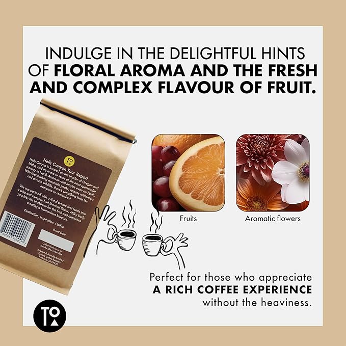 Touring Coffee Roasters Hells Canyon Ethiopian Coffee Whole Beans Medium Roast - 100% Arabica Single Origin, Fruity, Clean, Smooth, Natural Sun Dried – 12oz