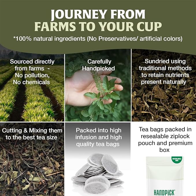 HANDPICK Original Tulsi Tea (100 count) Holy Basil Tea | Non-GMO, Caffeine-Free Herbal Tea | Ecofriendly Round Tea Bags