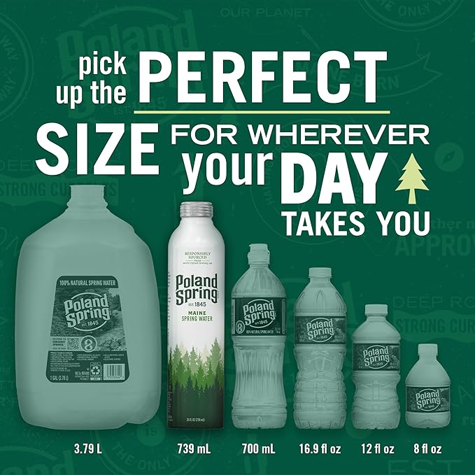 Poland Spring Maine Spring Water Aluminum Bottle – Crisp, Still Bottled Water with Naturally Occurring Minerals & Electrolytes for Taste - 12 Pack- 25 fl oz