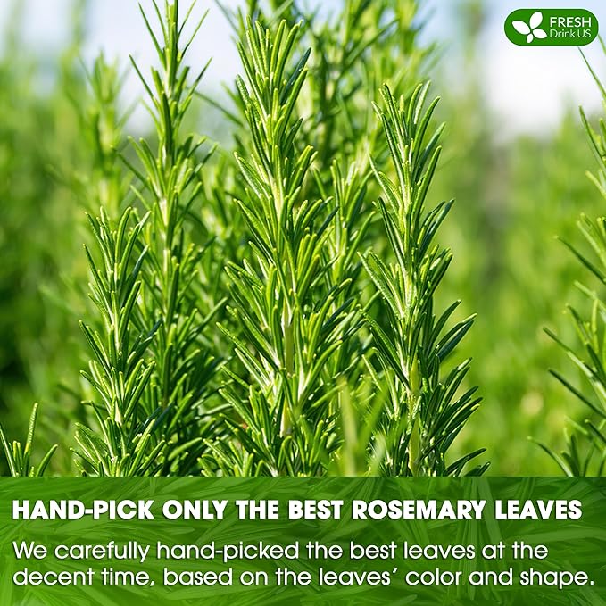 FreshDrinkUS, Premium 135 Rosemary Leaf Tea Bags, 100% Natural and Pure Rosemary Dried Leaves, Pure Herbal Tea, No Additives, No Caffeine, No Gluten, Vegan. (135 Tea Bags)
