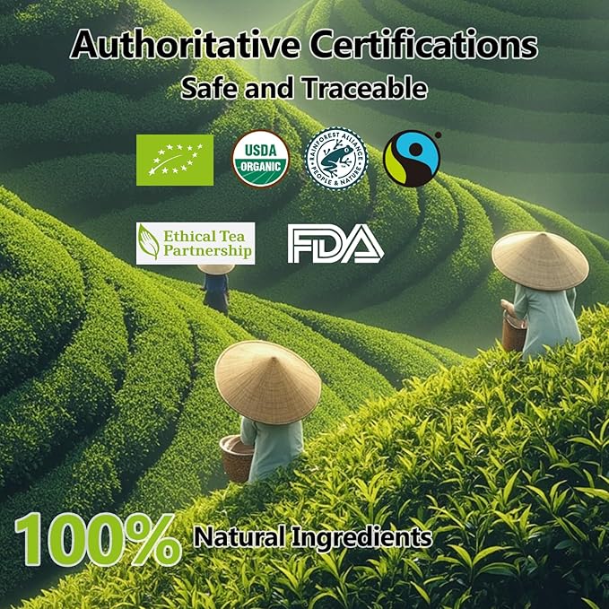 RIANTEA Organic Emerald Green Tea Bags 100% Natural Whole Leaf Tea Bag Naturally Sugar Free Low Caffeine Teabag Premium Original Leafy Green Tea Bag Suitable for Gifts Office Reception (20 Counts)
