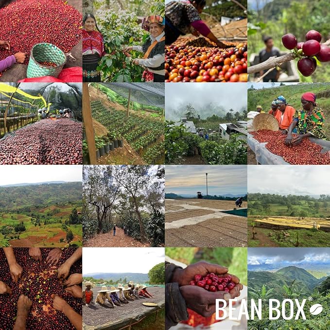 India Gundhikan Washed - Roasted by Huckleberry Roasters - Freshly Ground Coffee - 2 Pound Bag