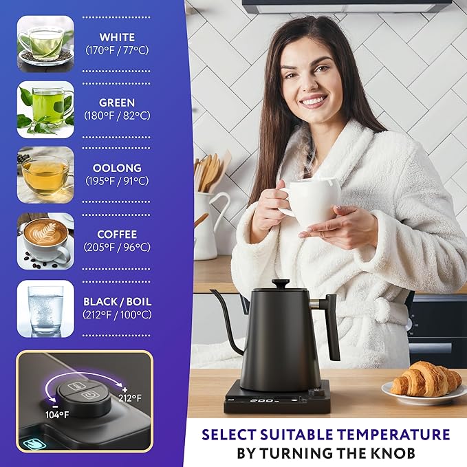 APQ Gooseneck Electric Kettle 30 Oz. Auto Shut-Off Black 1200 W Temperature Control 0.9 L Rapid Heating With LED Display