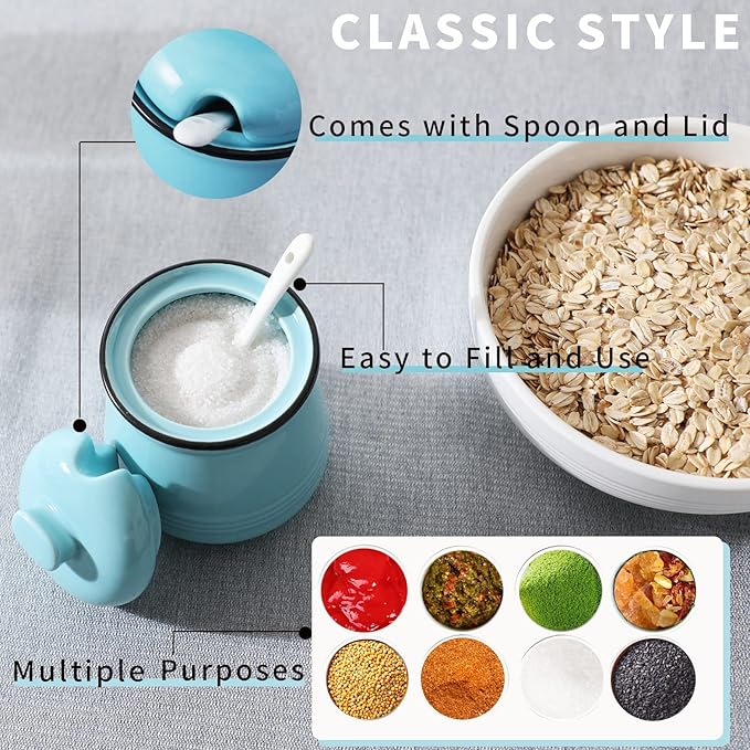 HAOTOP Porcelain Salt Bowl with Lid and Spoon,Ceramic Sugar Bowl 12oz (Turquoise)