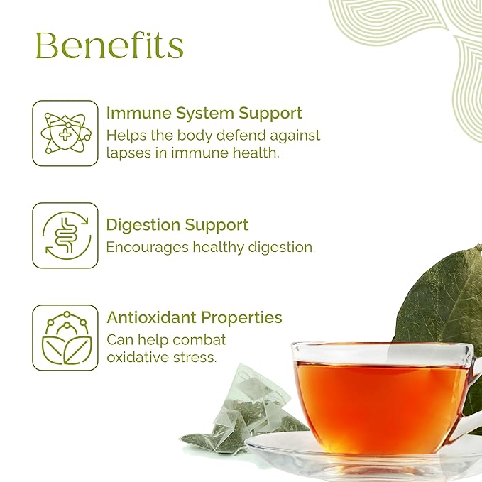 Organic Pharmacist Premium Soursop Tea Bags, Graviola Leaf Tea, Guanabana Teas, Guyabano Herbal Tea, Soursop Bitters Teas, Shredded Ground Leaves, 25 Count, New & Improved