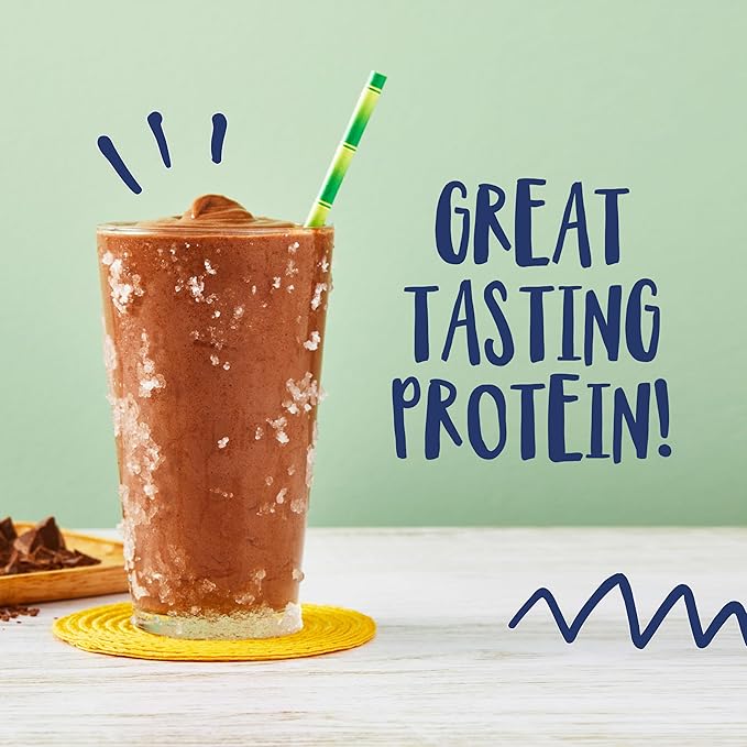 Big Train Fit FrappeMocha Protein Beverage Mix, 3 Pound (Pack of 1)