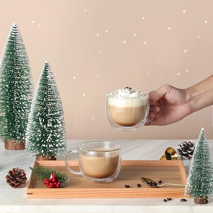 CNGLASS Double Wall Glass Cappuccino Mugs 8.1oz,Clear Insulated Glass Coffee Mug with Handle for Espresso,Latte,Tea,Set of 2 | Double Wall, Insulated, Glass Coffee Mug, with Handle, for Espresso, Latte