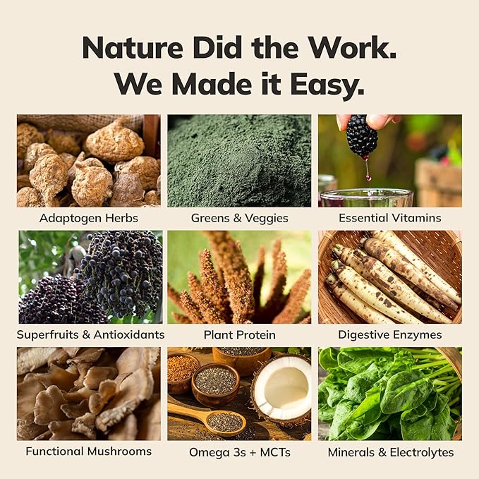 Ka’Chava Whole Body Meal Shake Vanilla – Vegan Protein Powder with 85+ Superfoods & Greens – Plant-Based Meal Replacement with Probiotics & Digestive Enzymes – 5 Sachets Travel Pack (5 Servings)