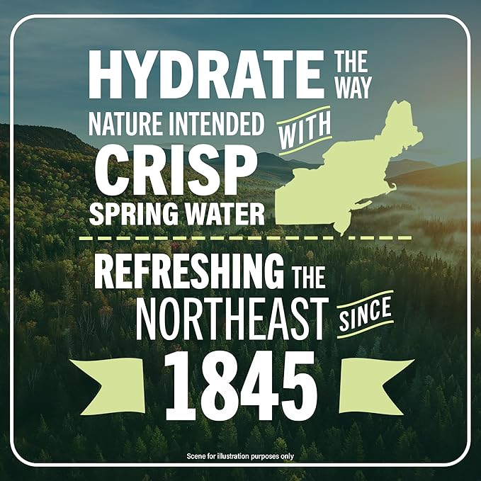 Poland Spring Maine Spring Water Aluminum Bottle – Crisp, Still Bottled Water with Naturally Occurring Minerals & Electrolytes for Taste - 12 Pack- 25 fl oz