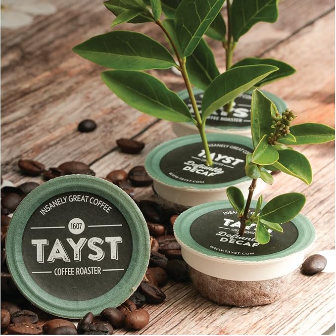 Tayst Coffee Pods, Medium & Heroic Medium Roast, K Cups Compatible with Keurig Coffee Maker, Sustainable Single Serve, Pack of 240