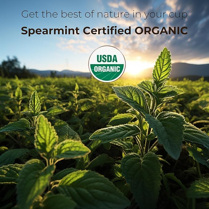 The French Touch Spearmint Tea ORGANIC | 1.5g x 30 Pyramid Bags | 100% Certified USDA Organic | Plant based tea bags | Select Premium Tea (Spearmint) | Caffeine-free