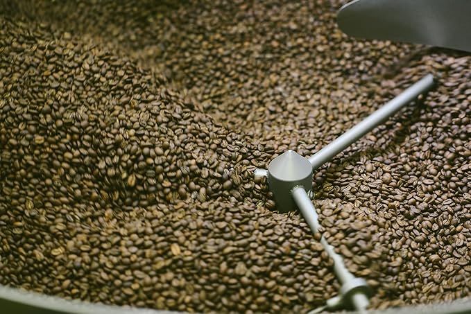 Ceremony Coffee Roasters - House Coffees Variety Pack - Specialty Ground Coffee Antithesis & Thesis Blends- 2x12oz Bags (Espresso - Fine Grind)