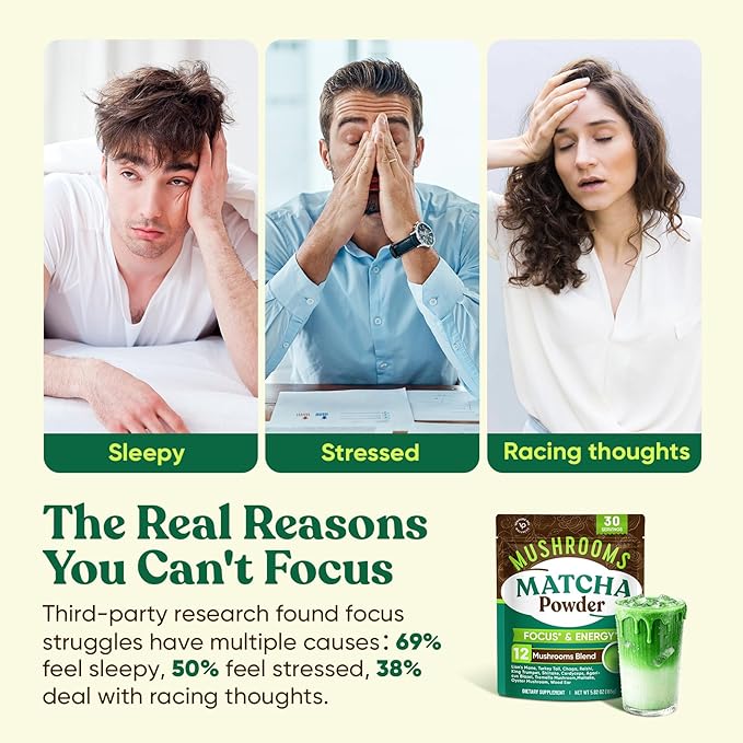 Venture Pal SUPERFOODS Mushroom Matcha Powder – 12 Adaptogenic Mushroom Coffee Alternative with 1.5B Probiotics & L-Theanine, First Harvest Ceremonial Matcha for Focus & Energy, 30 Servings