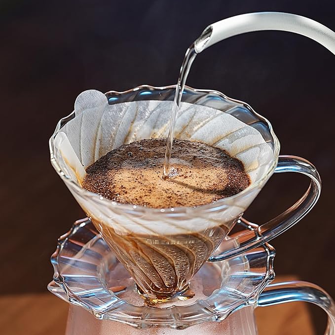 Bincoo Pour Over Coffee Maker Set, V-shape 60° Cone Drip Coffee Maker, Included 16oz Borosilicate Glass Coffee Carafer and Size 02 Coffee Dripper & 50 Pcs Paper Filter (16oz-Clear)