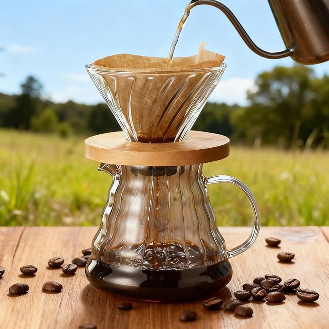 Pour Over Coffee Maker Set with Glass Carafe, Iron Stand, Bamboo Base, 20 oz Capacity, V02 Filter Papers(100 Count), Manual Drip Brewing System