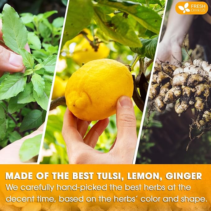 FreshDrinkUS, Premium 35 Tulsi Lemon Ginger Tea Bags, 100% Natural & Pure from Tulsi Holy Basil Leaves, Lemon and Ginger. Made with Natural Material Tea Bags. No Sugar, No Caffeine, Vegan.