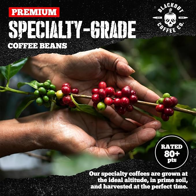 Blackout Coffee Smooth Finish Whole Bean Coffee – Light Roast, Bright & Smooth Taste – Freshly Roasted 12oz Bag