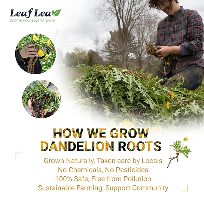 LeafLea Dandelion Root Tea Bags, 160 Dandelion Tea Bags, Natural Dried Dandelion Root, Caffeine-Free, Vegan, Gluten-Free, No Sugar, Sealed for Fresh Flavor, 4 Pack