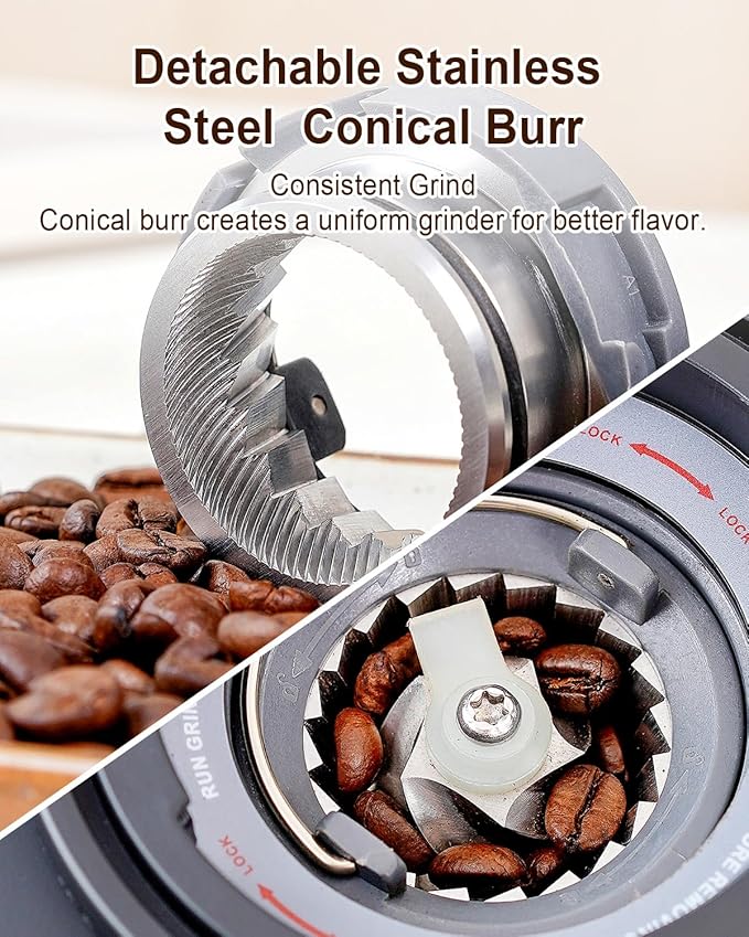 MOKKOM Coffee Grinder with Removable Coffee Scale, Anti-static Conical Burr Coffee Bean Grinder, 31 Precise Settings for French Press/Cold Brew/Pour Over/Drip/Espresso
