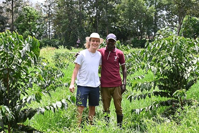 Kenya AA Grade Unroasted Green Arabica Coffee Beans from Kenyan Highlands - 100% Pure Arabica Coffee Beans With Optimal Flavor Freshness - Handpicked, Washed & Sun Dried - 3 LB