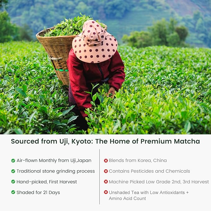 Uji Matcha Powder Ceremonial-Grade, Stone-Ground Green Tea from Kyoto, Japan – Vibrant Green （1.06oz/30g) Umami-Rich Zero Sugar, Vegan & 0 Calories