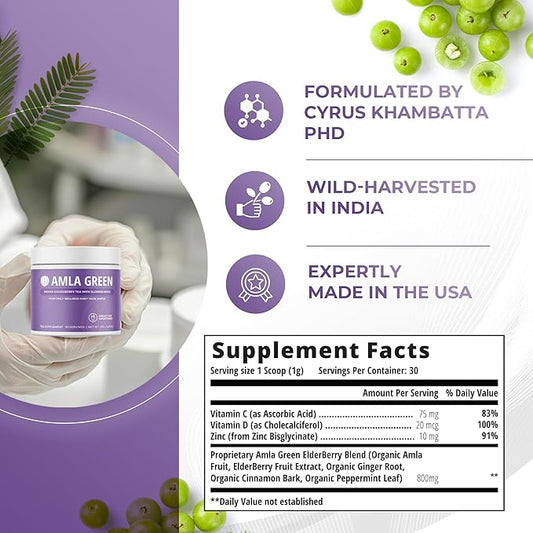 Amla Powder & Immunity Blend Superfood Supplement with Elderberry, 20x Ultra Concentrated Amla, Immune Support, Made with Ginger, Cinnamon, Peppermint, Indian Gooseberries, Immunity, 90 Servings