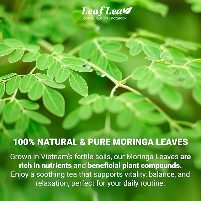 LeafLea 80 Moringa Tea Bags, Made from Natural Moringa Leaves, Caffeine-Free Herbal Tea, Sugar-Free, Individually Wrapped for Fresh Flavor (Pack of 2)
