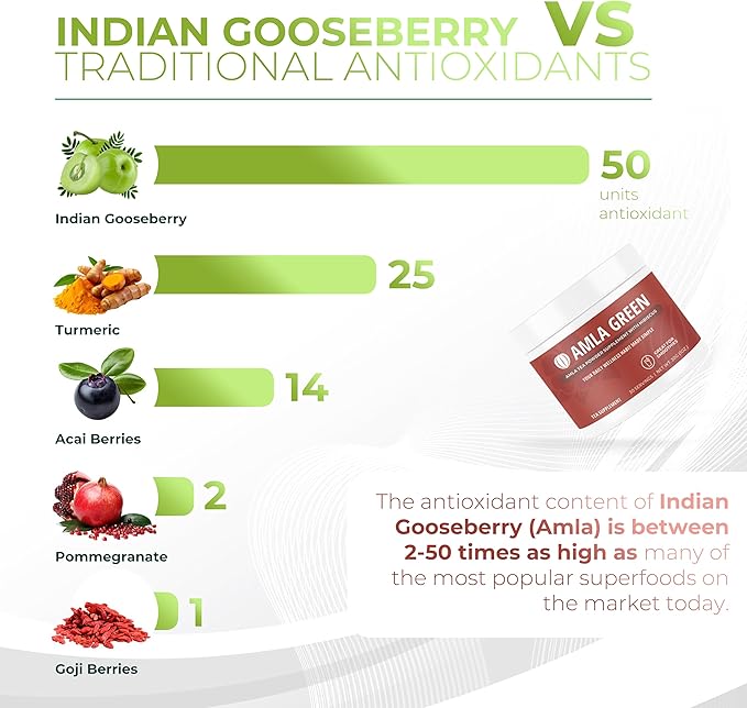 Amla Powder & Green Tea Superfood Supplement with Hibiscus, 20x Ultra Concentrated Amla, Antioxidant Support, Made with Oolong Tea and Indian Gooseberries, Organic, Vegan, Hibiscus, 90 Servings