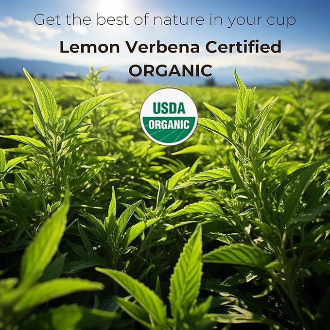 The French Touch Lemon Verbena Tea ORGANIC | 1.8g x 30 Pyramid Bags | 100% Certified USDA Organic | Plant based tea bags | Select Premium Tea (Lemon Verbena) | Vervein |Caffeine-free