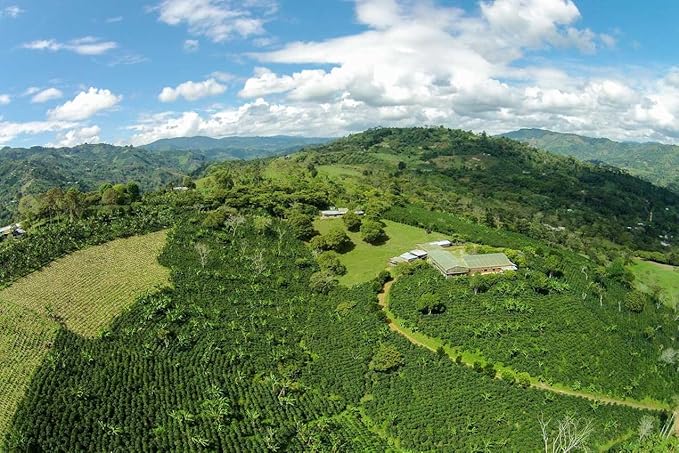 Good Times Coffee Company Green Unroasted Coffee Beans, Colombian Huila (1 Pound)