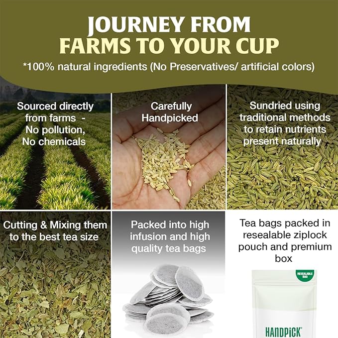HANDPICK Fennel Seed Tea Bags (100 Count), Authentic Indian Origin with Natural Aroma & Sweetness | 100% Pure, Non GMO & Caffeine Free