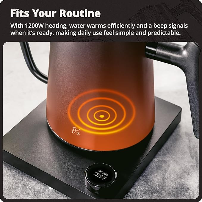 Greater Goods Electric Gooseneck Kettle, 1200W Stainless Steel with Precision Temperature Control, Fast Boil, BPA-Free, Ideal for Pour Over Coffee and Tea, 0.8L (Onyx Black)