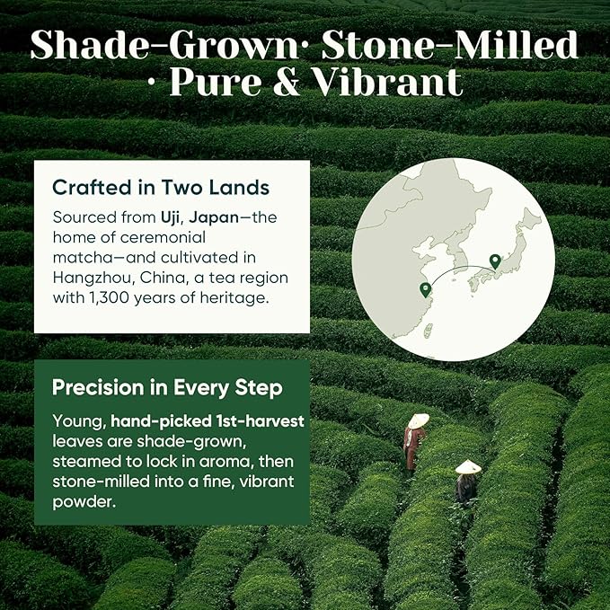Venture Pal Superior Ceremonial Grade Matcha Powder, 100% Pure First Harvest Matcha Powder, Shade Grown Green Tea – Vegan, Gluten-Free, No Additives, Unsweetened (30g/1.06oz Tin)