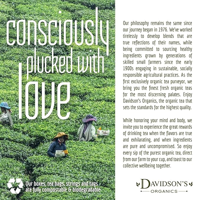 Davidson's Tea Bulk, Orange Spice, 16 Ounce