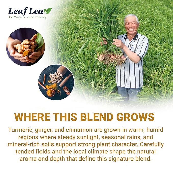 LeafLea Turmeric Tea with Ginger and Cinnamon, 80 Premium Turmeric Ginger Tea Bags, 100% Natural Ingredients Herbal Tea, Vegan, No Sugar, Caffeine-Free, Each Tea Bag Sealed for Fresh Flavor