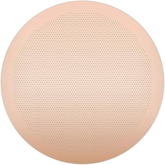 CAFE CONCETTO Filter for use in AeroPress Go/AeroPress Coffee Makers - Disc Fine - Reusable - Premium Coated Stainless Steel (Rose Gold, Metal) - Brew Tips Included