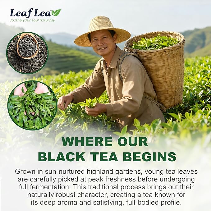 LeafLea 40 Black Tea Bags, Premium Full-Bodied Black Tea Leaves, Strong Robust and Flavoury, Digestive Ease & Natural Alertness with Caffeine, Sugar-Free, Vegan, Individually Wrapped