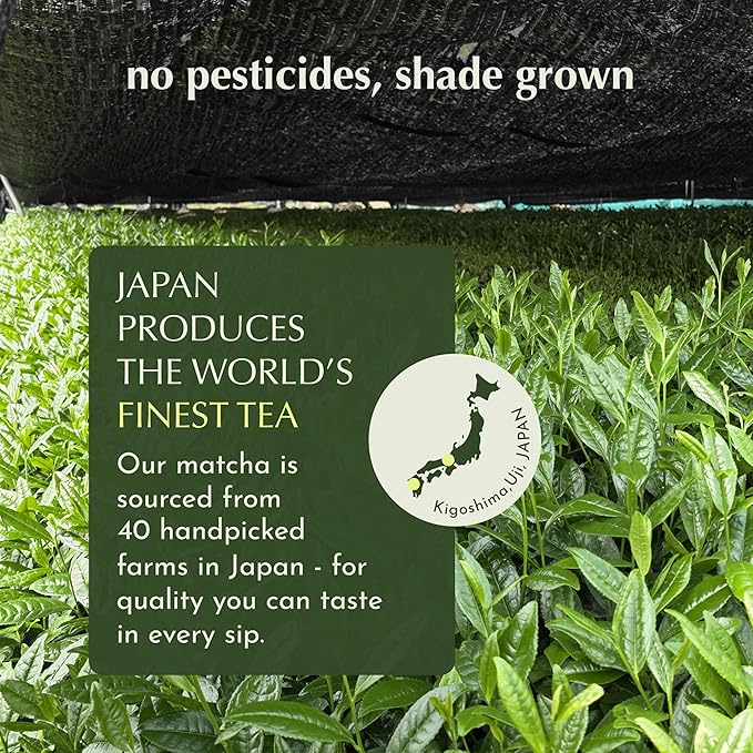 Encha Matcha Latte Powder Sweetened - Lightly Sweet Matcha Powder - First Harvest - Premium Japanese Matcha - 500g / 1.1lb
