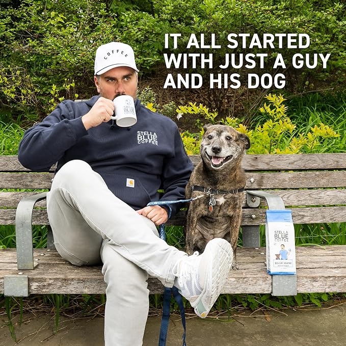 Stella Blue Ground Coffee, Big Cat Blend, Medium Roast, Fresh Coffee Ground 100% Arabica, Smooth Balanced Roast with Distinct Flavor Notes, Ethically Sourced Coffee Beans, 12 oz Bag