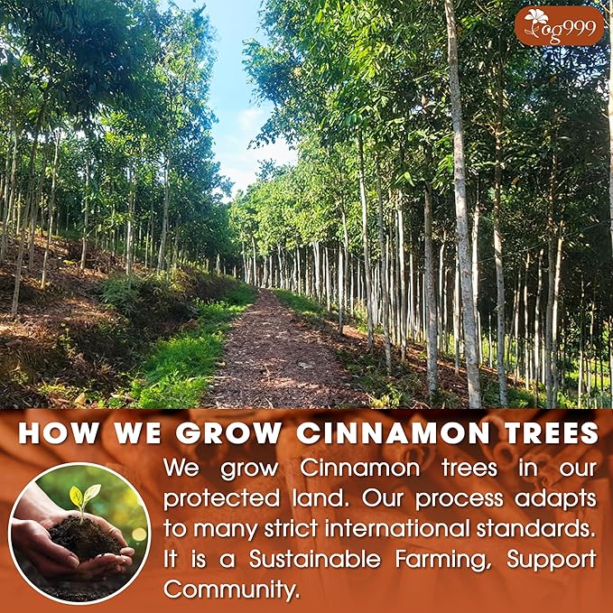 TOG999, Premium 25 Tea Bags - Special Cinnamon Tea, 100% Natural & Pure, Herbal Tea. Cinnamon Stick Herbal Spice